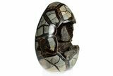 Septarian Dragon Egg Geode - Black Crystals #302858-1